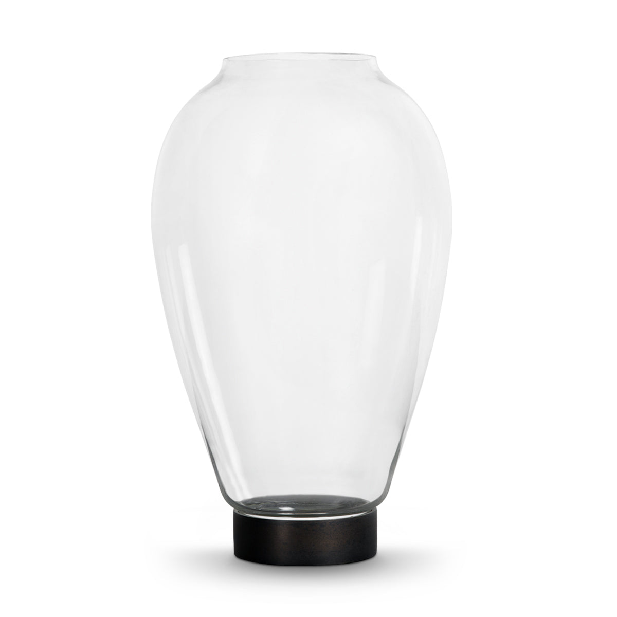 Carol Clear Glass Vase -  Medium - IAAH